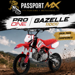 Moto minicross Pro One Gazelle 110 color rojo