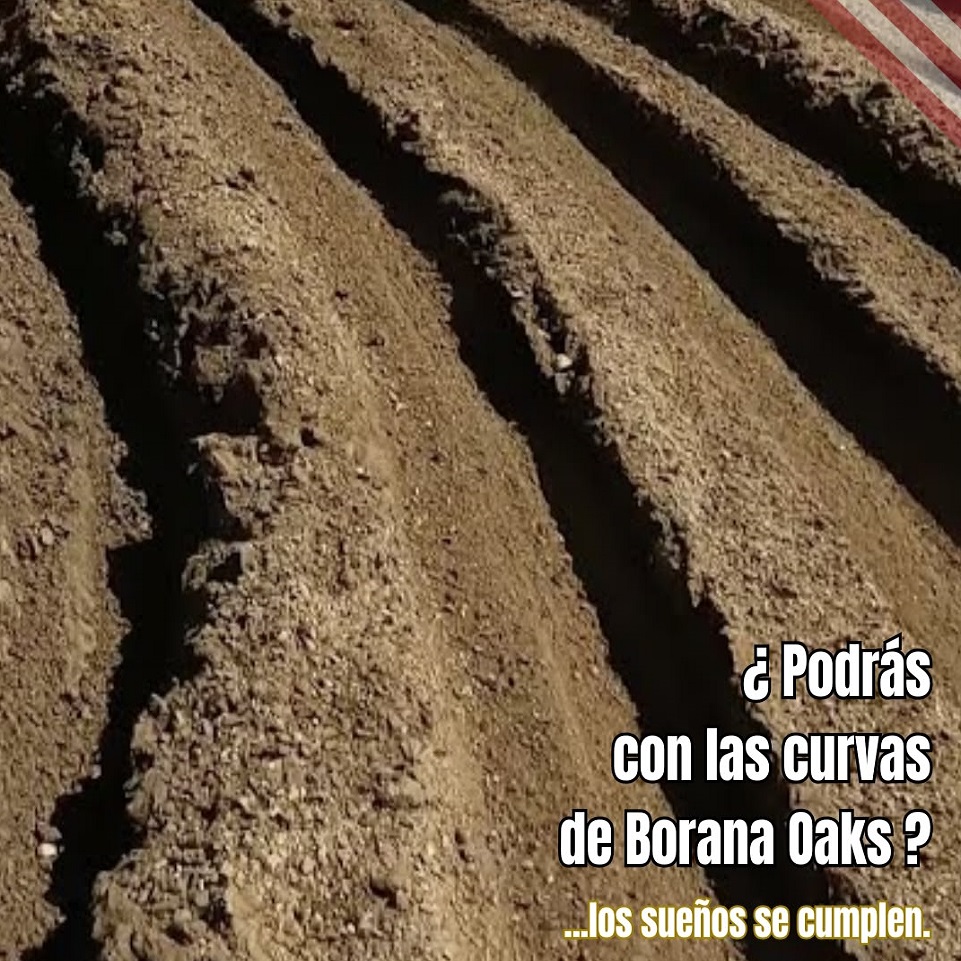 Motocross Los Ángeles, California - Imagen 7