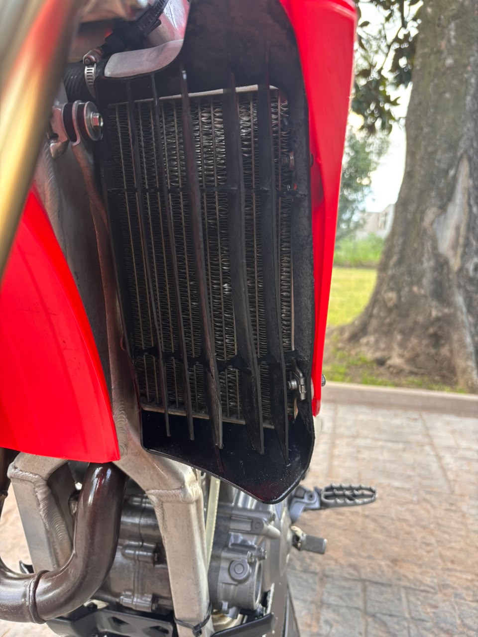 Moto Honda CRF 450 modelo 2024 - Imagen 6